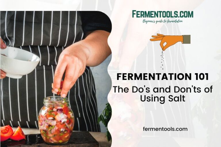 Fermentation 101 The Do S And Don Ts Of Using Salt