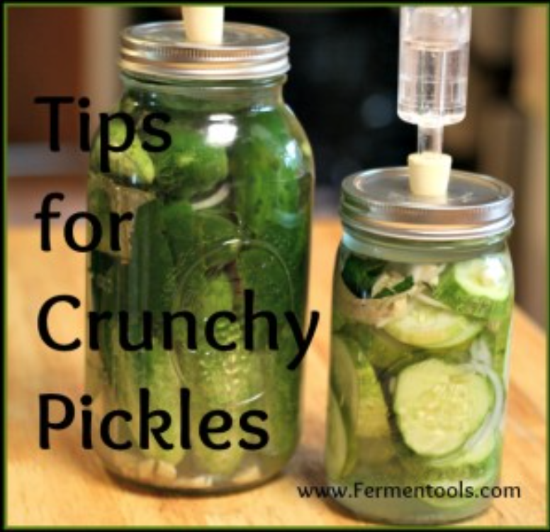 5 TIPS FOR LACTO-FERMENTED CRUNCHY PICKLES