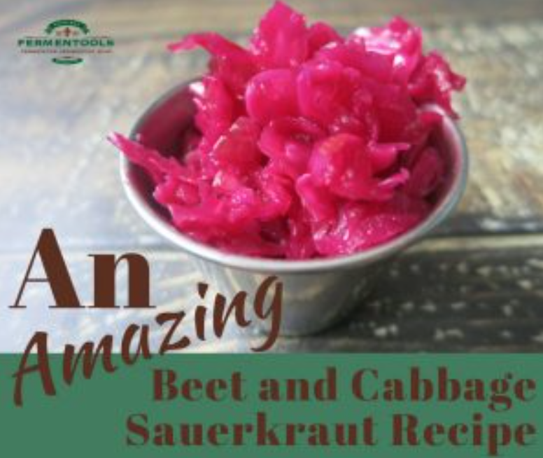 Beet and Cabbage Sauerkraut in a Jar Recipe - Fermentools