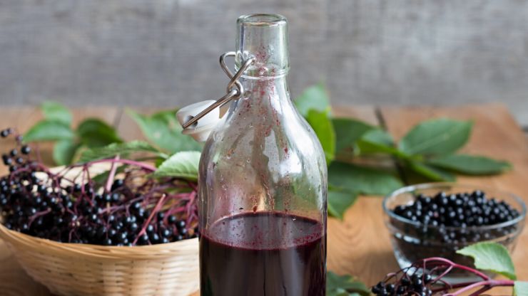 Fermented Elderberry Oxymel Unlocking The Health Benefits