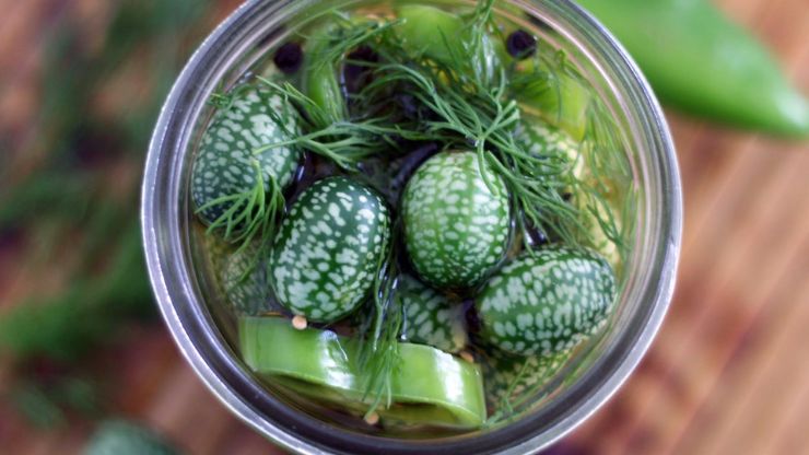 How To Make Healthy And Delicious Pickled Sanditas (1)