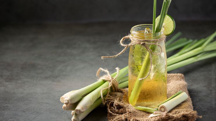 How to Make Fermented Celery