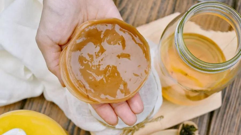 10 Ways to Use Extra SCOBYs & Can You Grow Your Own SCOBY