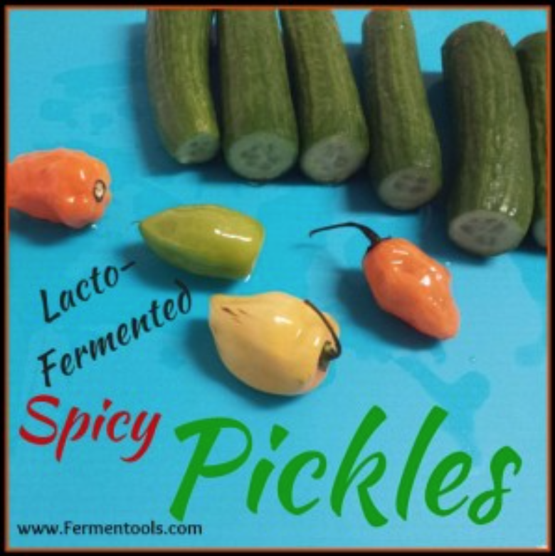 SPICY FERMENTED PICKLES
