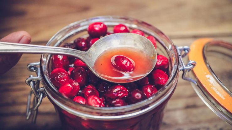 Ways to Serve Fermented Cranberries