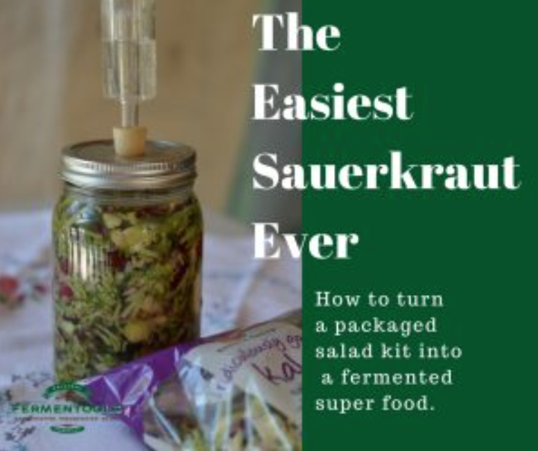 EASIEST SAUERKRAUT IN A JAR FROM A PACKAGED KIT