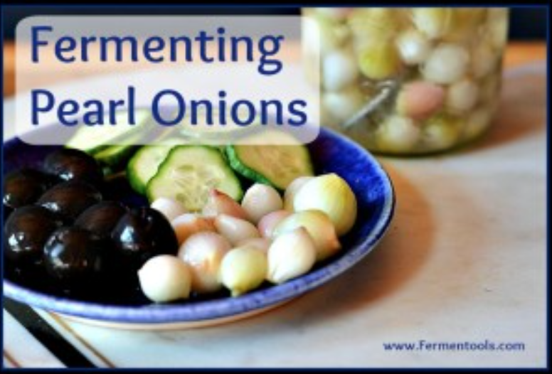 FERMENTING PEARL ONIONS FOR ZESTY PICKLE TRAYS