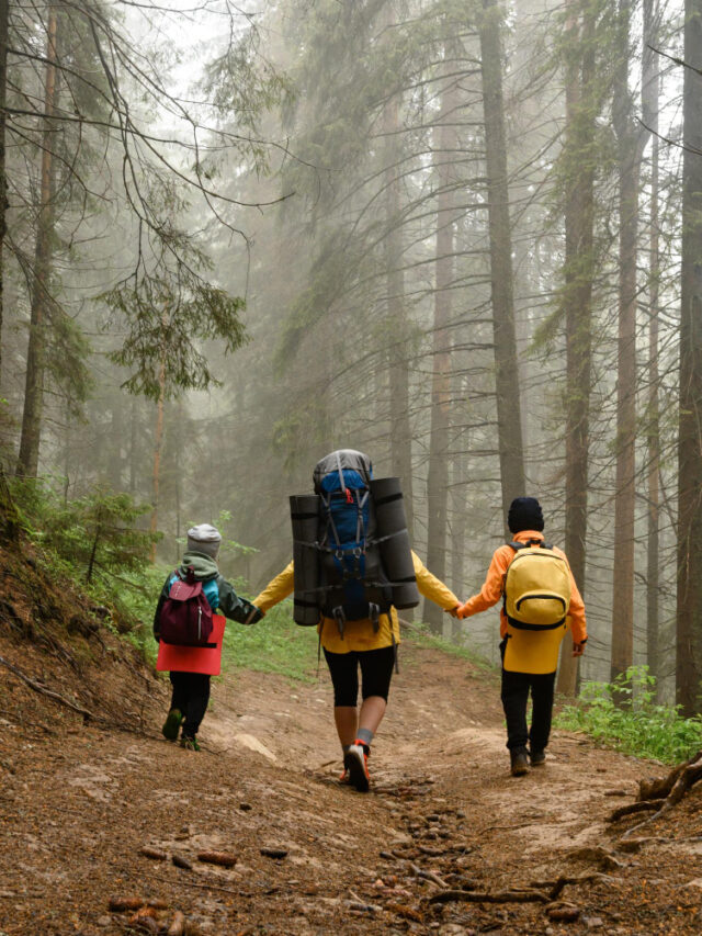 mother-with-two-children-backpacks-forest-hiking-with-children-tourists-fog-betwee
