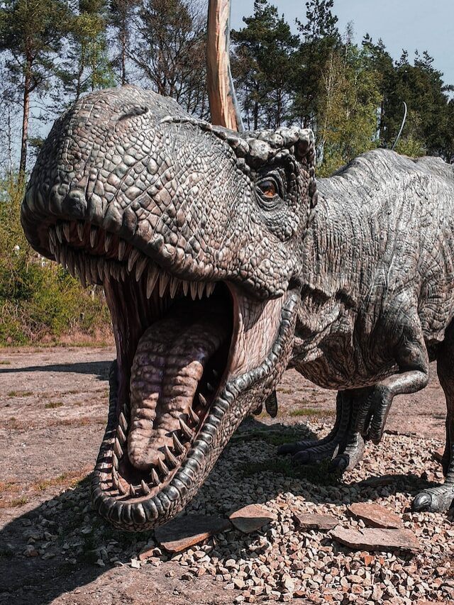 The 09 Oldest Animal Species Still Living on Earth