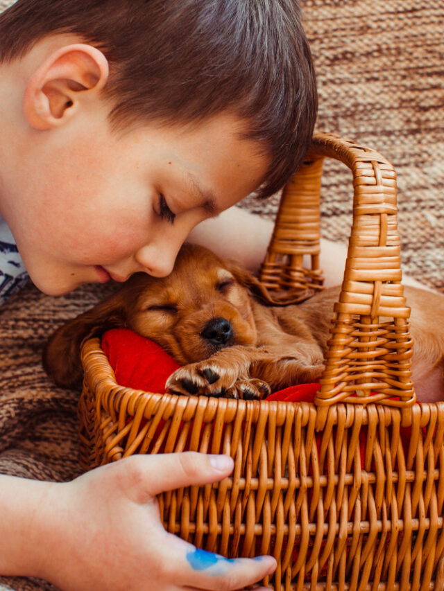 small-boy-embarcing-basket-with-dog