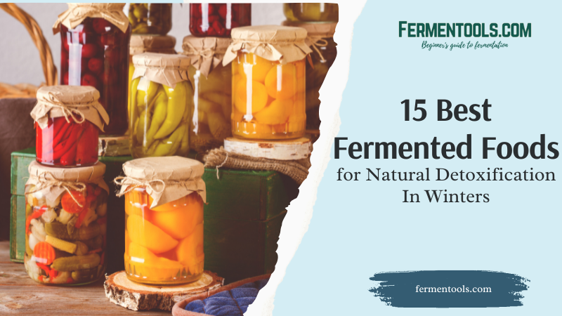 Best Fermented Foods
