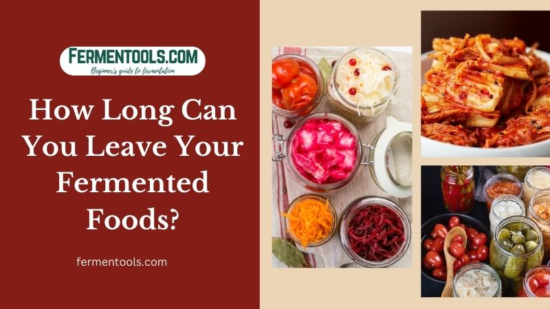 How Long Can You Leave Your Fermented Foods?