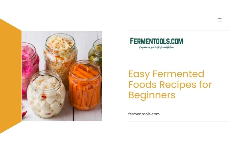 Fermented Foods Recipes for Beginners