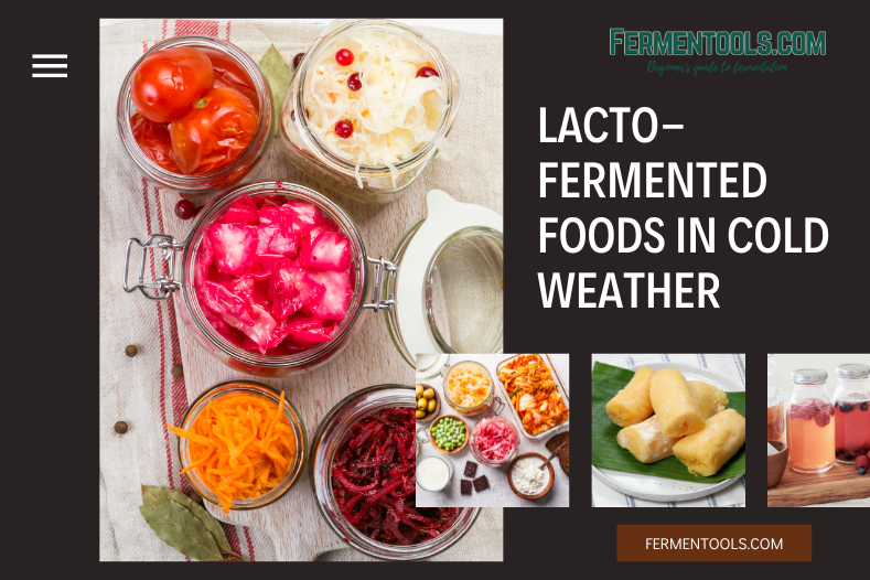 Lacto-Fermented Foods