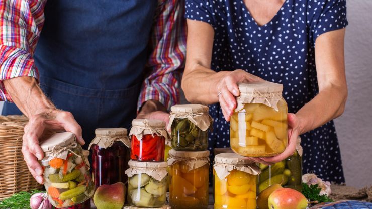 The Top 15 Gut-Friendly Gift Guide for Fermented Food Lovers