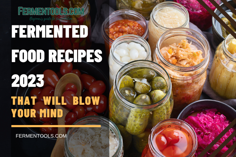 Fermented Food Recipes 2023