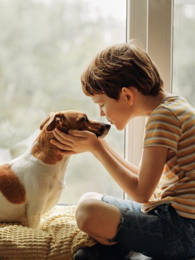 7 Signs of Dementia in Dogs