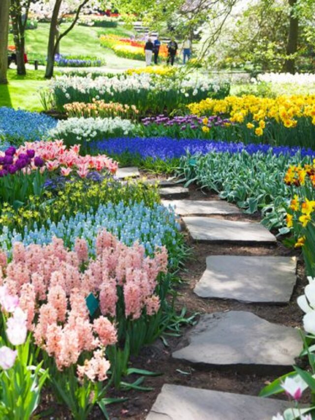 The 8 Most Beautiful Botanical Gardens in the US