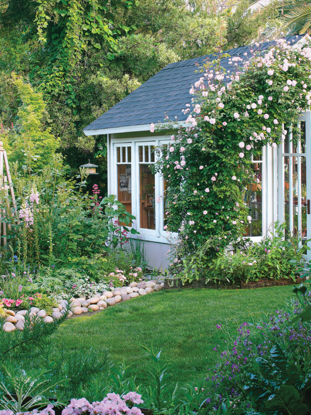 Create a Cottage Garden With These 7 Flowers