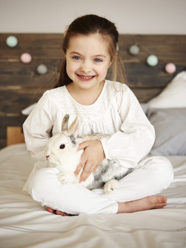 7 Best Small Pets to Consider for Your Child