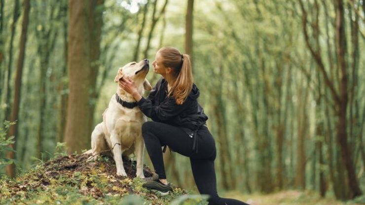10 of the Healthiest Dog Breeds (2)
