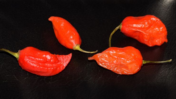 The World's Six Hottest Peppers