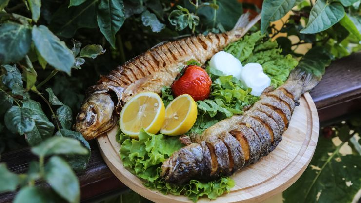 10 Best Types of Fish to Eat