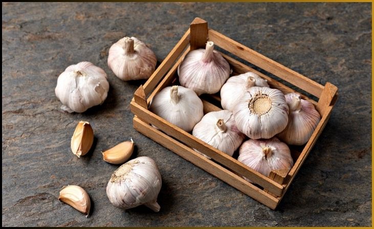 Choosing the Right Garlic