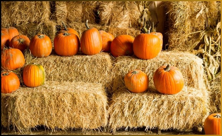 Fall Harvest Platter