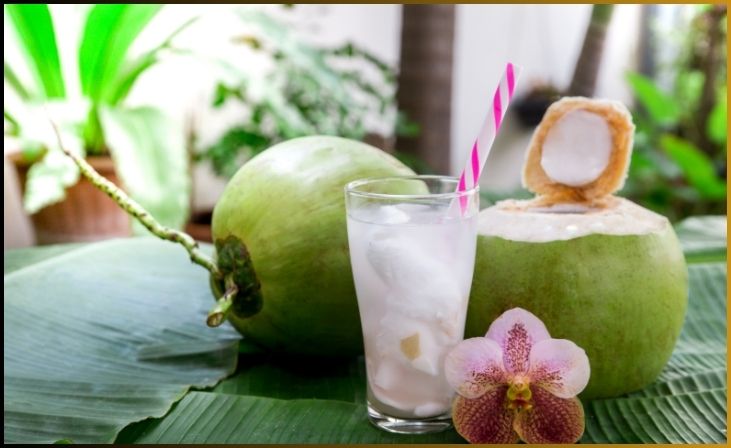 Fermented Coconut Water