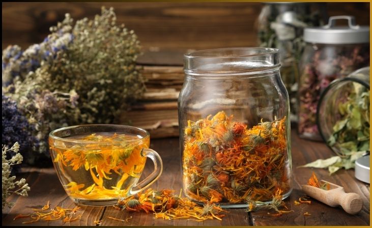 Fermented Herbal Infusions