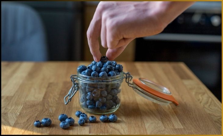 Fermented Blueberries