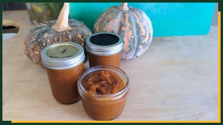 Lacto-Fermented Pumpkin Butter