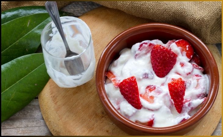 Probiotic-Rich Yogurt Delight