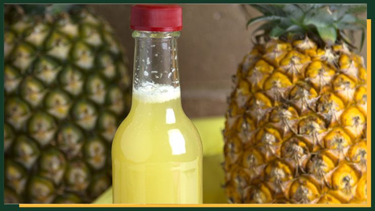 Raw Pineapple Vinegar Recipe