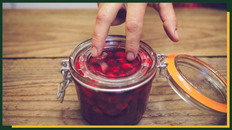 Serve Fermented Cranberries