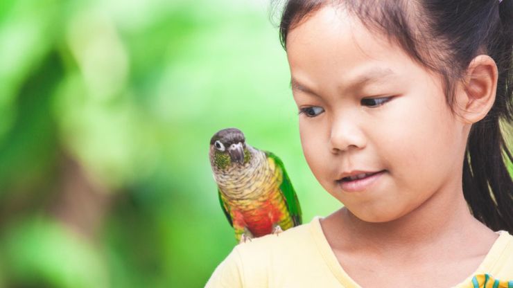 Small Pet Birds For Kids