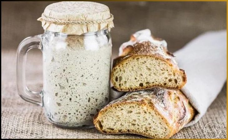 The Importance of a Healthy Sourdough Starter
