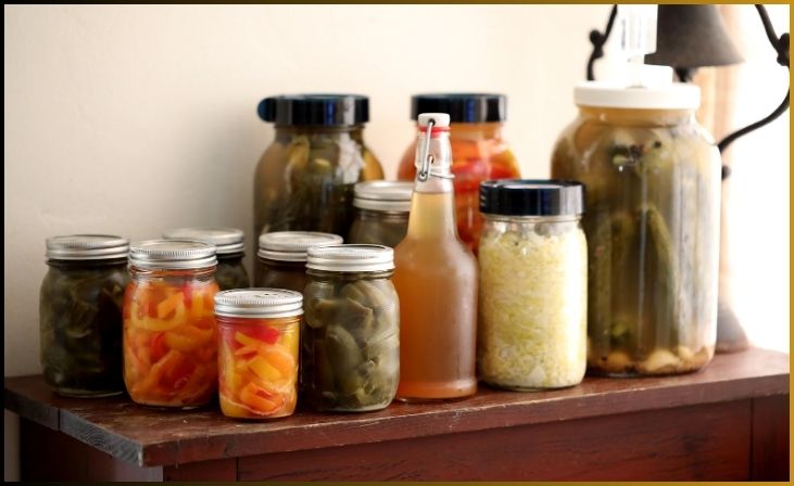 Traditionally Fermented Foods