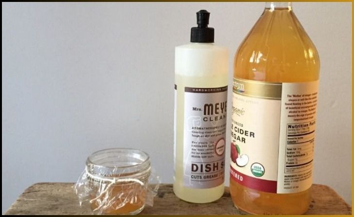 Vinegar and Dish Soap Jar: