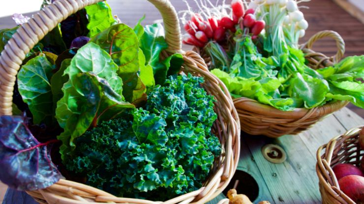 Plant These 8 Fantastic Leafy Greens This July
