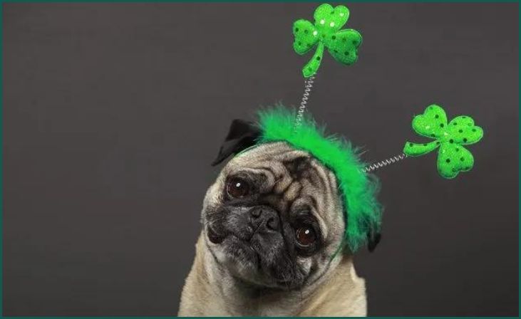St. Patrick's Day Photoshoot