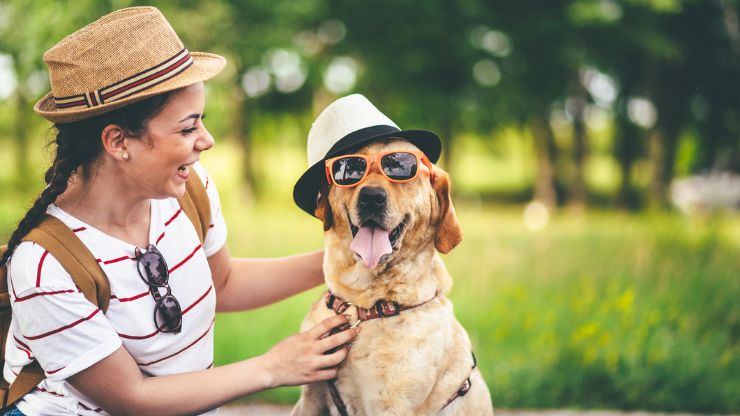 Tips To Make Traveling With Pets Much Easier