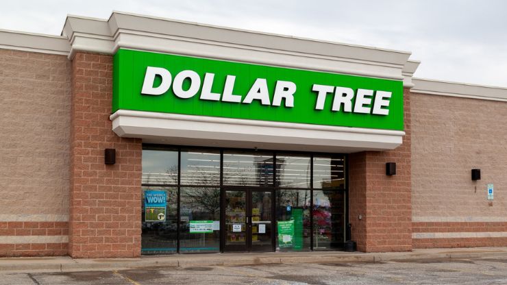 Best Dollar Tree Items To Stock Up On for Thanksgiving 2024