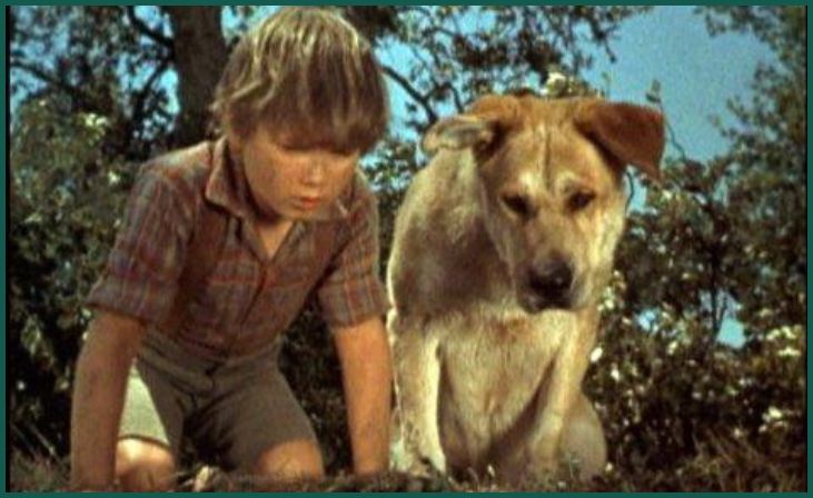 Old Yeller (1957)