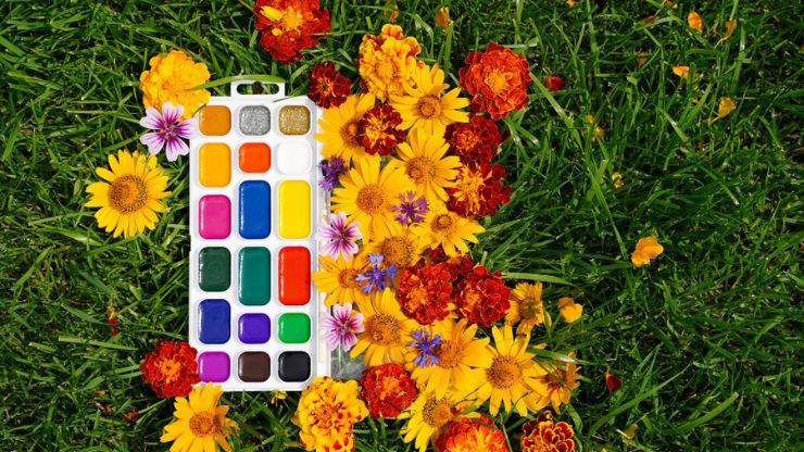 7 Spring Flowers That Will Add Instant Color to Your Garden
