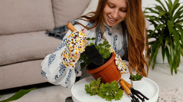 8 Good Luck Plants: Infusing Positivity into Your Home