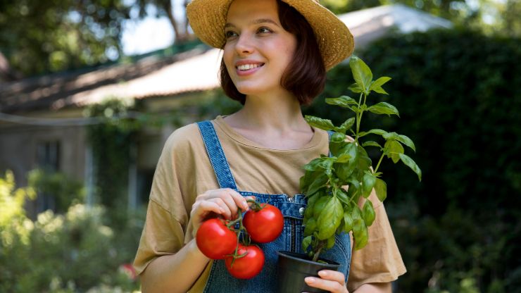 7 Companion Plants You Should Never Grow With Tomatoes