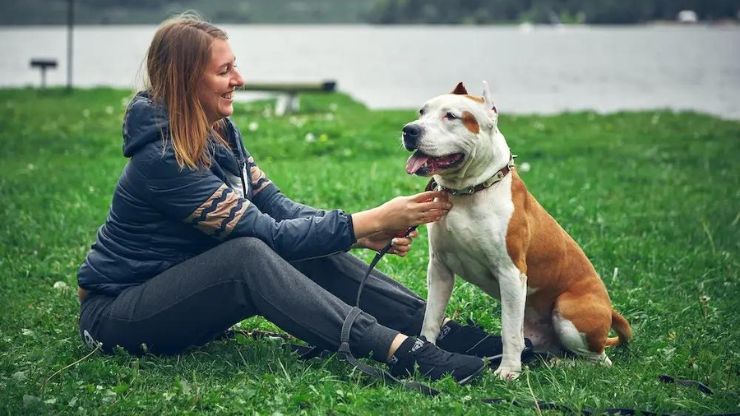 8 Best Emotional Support Dog Breeds