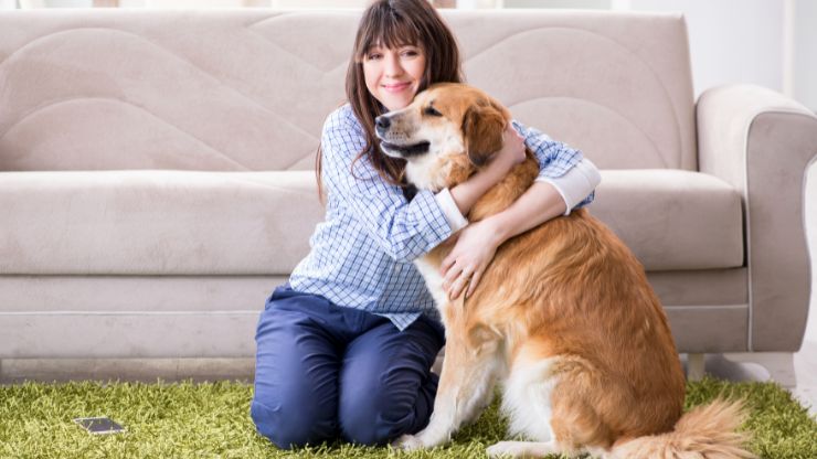 8 Dog Breeds That Embrace Extra Clinginess and Loyalty